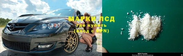 гидра Елизово