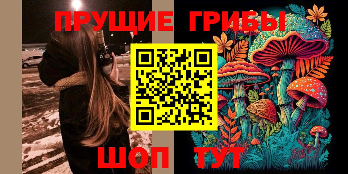 Псилоцибиновые грибы Cubensis  Вход с VPN  Сухой Лог 