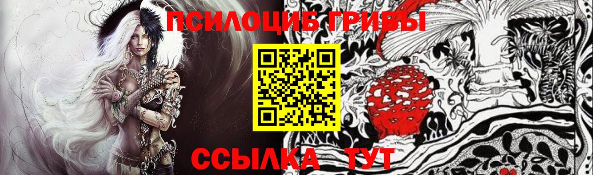 Галлюциногенные грибы GOLDEN TEACHER Сухой Лог